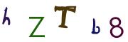 Beeld-CAPTCHA